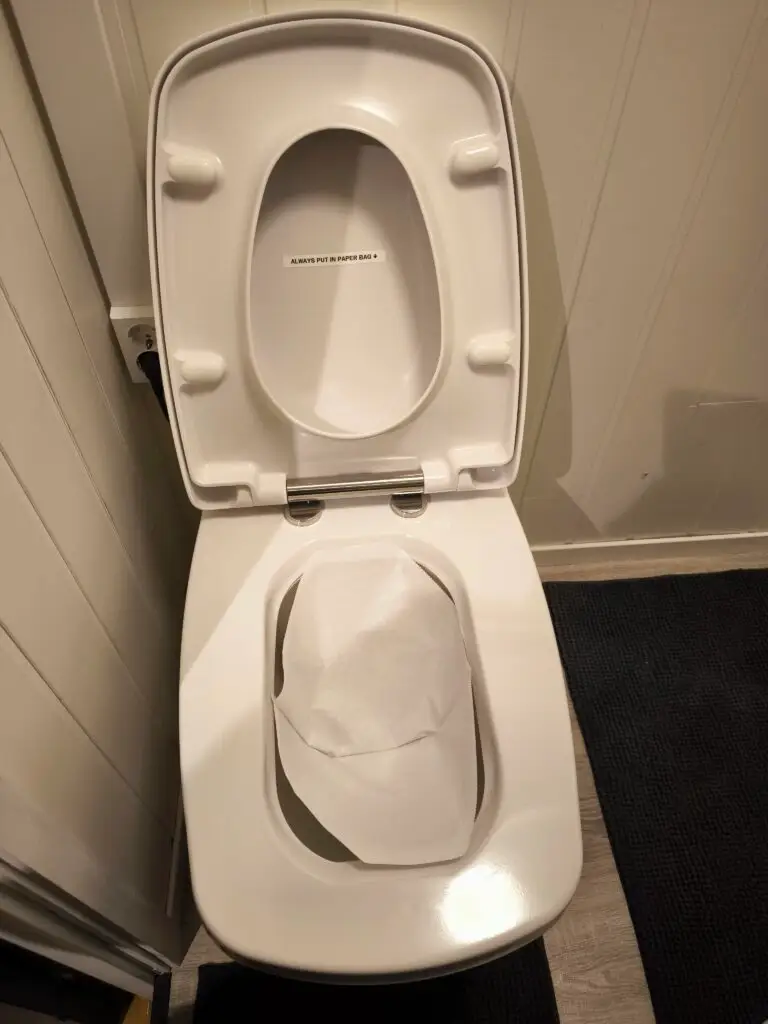 Put the paper bag inside the toilet